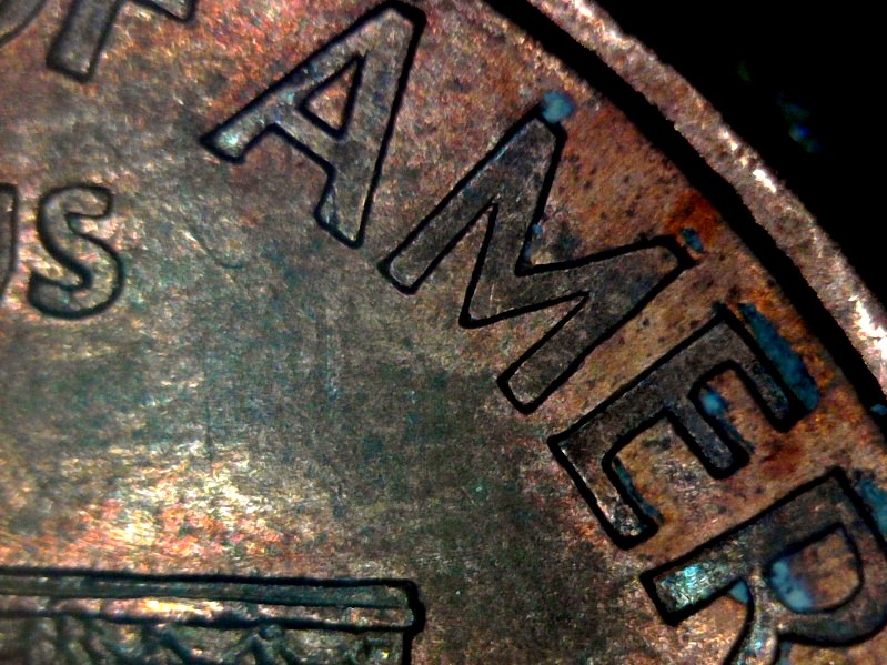Wide-A-M--1999-Hopeful-Contender.